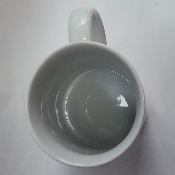 Souvenir Coffee Mug With An Iguana And Ladybug On A Hibiscus Branch - Picture 2 of 12